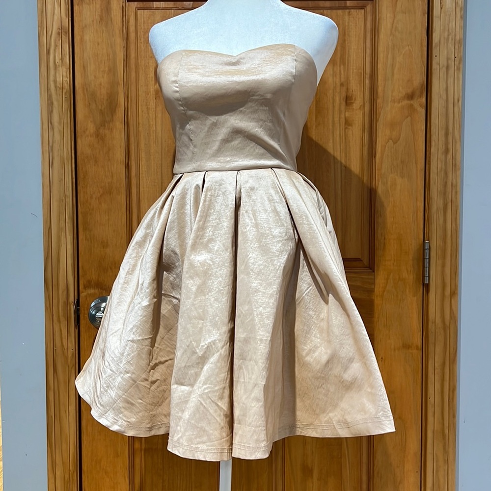 Windsor Strapless Dress